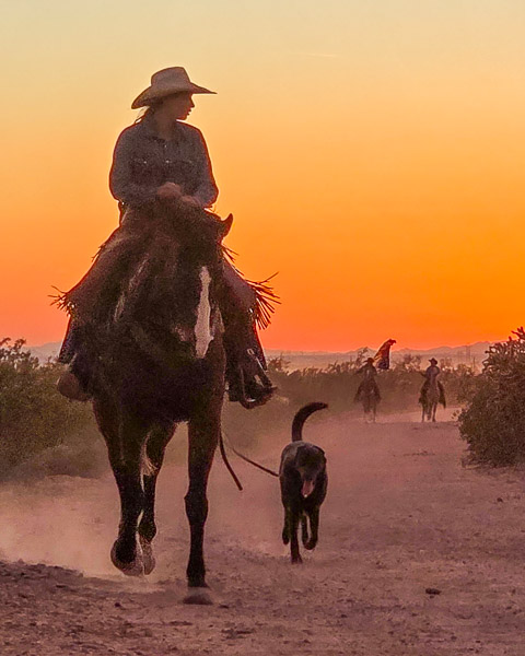 Don Donnelly's D-spur Ranch and Stables